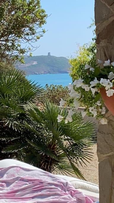 Villa Amea ตอร์เร เดย์ กอร์ซารี ภายนอก รูปภาพ
